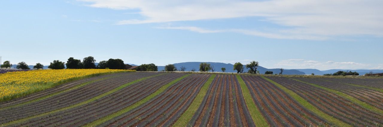 Qu’est-ce que la méthanisation ?
